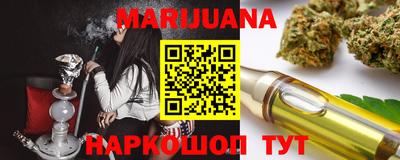 сатива Камышлов