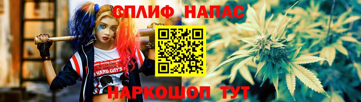 Бошки Шишки MAZAR Кемерово